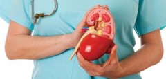 kidney cleanse – KIDNEY SUPPORT – kidney stone breaker – 2 Bottles