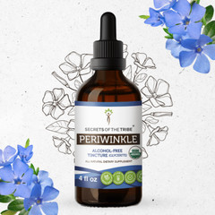 Secrets Of The Tribe Periwinkle Tincture Alcohol-FREE