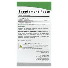 Nature s Answer Damiana Leaf 800 mg 90 Vegetarian Capsules Cruelty-Free, Kosher,