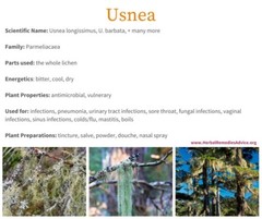 Usnea Tincture Clears Infections, Open Airways & Congestion, STDs & VD symptom