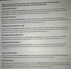 Mushroom Powders – Chaga, Reishi, Oyster, Birch, Artist’s Conk, Red-Belted 6 oz