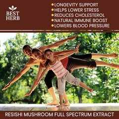 240 ORGANIC CAPSULES REISHI 20:1 EXTRACT MUSHROOM GANODERMA IMMUNE SYSTEM BOOST