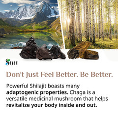 Chaga Mushroom & Shilajit Supplement 90 Caps Siberian Natural Immune Support