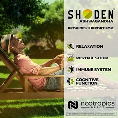 Shoden Ashwagandha Extract Capsules | 120mg | 30 Count | 30 Count (Pack of 1)