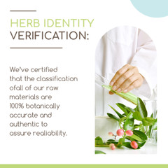 HerbEra Guarana Alcohol-FREE Herbal Tincture, Organic (Paullinia cupana)