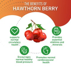 Hawthorn Berry 20:1 Extract 8000mg – Quality,Heart Health,Blood Pressure,Non-GMO