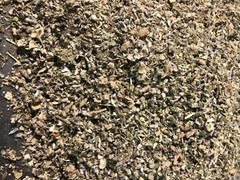 No.31 Mix – Clove Mint Skullcap Mullein Coltsfoot Lavender Raspberry – 1 Ounce
