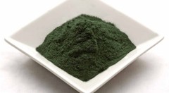 ORGANIC Klamath Blue Green Algae 500mg – stem cell enhancer – 2 Bottles 120 Caps