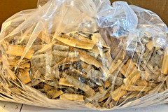 Copalquin Bark Dried Herbal Bark Natural Detox Tea Bark Botanica Rootwork