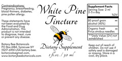 White Pine Needle Tincture – Wild Organic Pine Extract