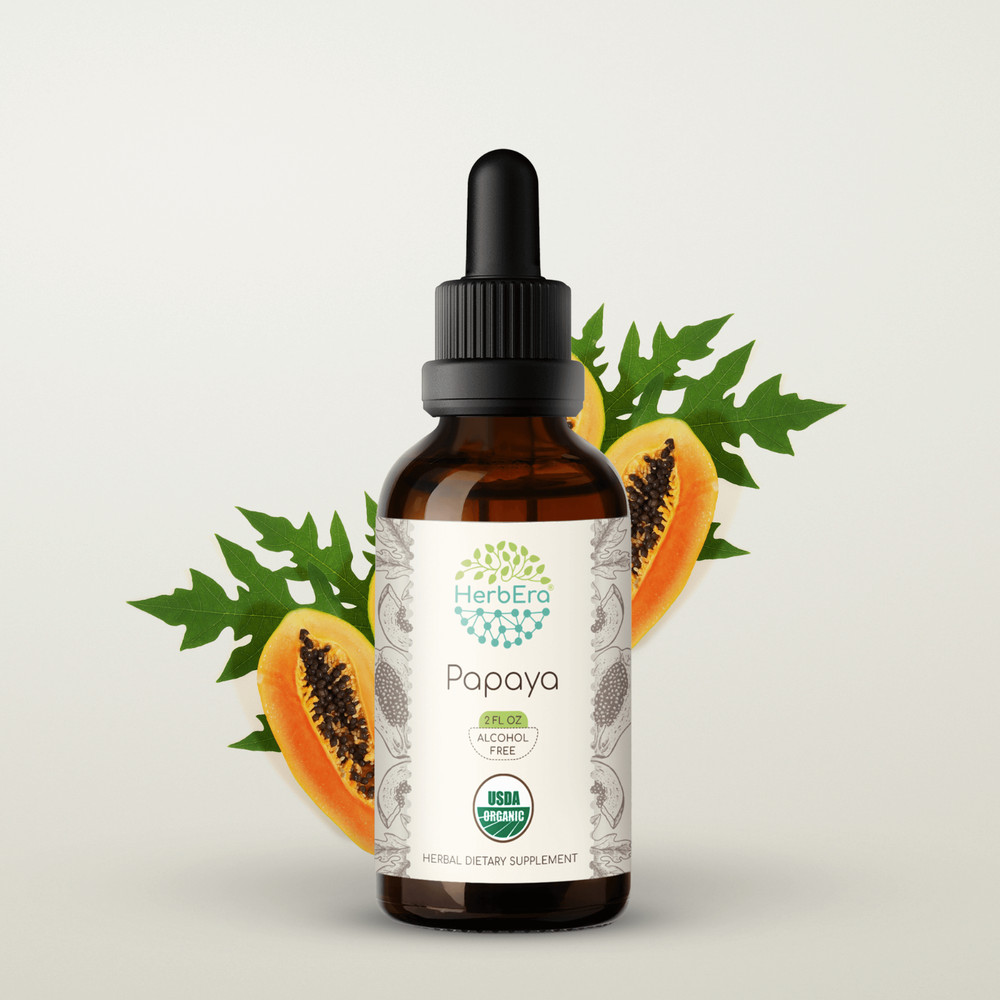 HerbEra Papaya Alcohol-FREE Tincture, Organic Papaya (Carica papaya)