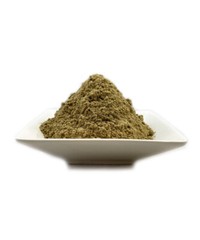Organic Mugwort (Artemisia vulgaris) 25g FINE POWDER Wicca FREE SHIP + SAMPLE