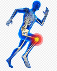 Joint Pain Relief Herbal Magic Oil for Arthritis Knee Shoulder Back and Muscles