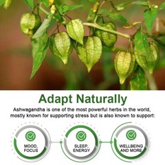 Ashwagandha Capsules – Stress Relief & Cortisol Balance with Alternative 1200mg