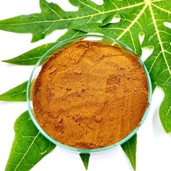 Papaya Leaf Extract Powder Carica Papaya 20% Flavonoids Free Shipping 250 Gram