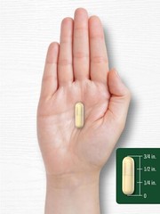 Bitter Melon Capsules | 2500mg | 200 Count | Non-GMO & Gluten Free | by Carlyle