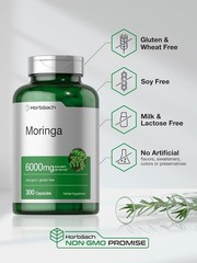 Moringa Oleifera 6000mg 300 Capsules Non-GMO and Gluten Free Extract by Horbaach