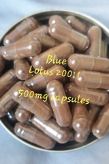 Blue Lotus FlowerNymphea caerulea and Kanna/Sceletium Tortuosum Capsules 300 Ct