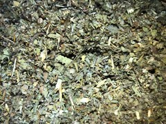 No.19 Herb Blend Damiana Marshmallow Mullein Passionflower Wild Lettuce