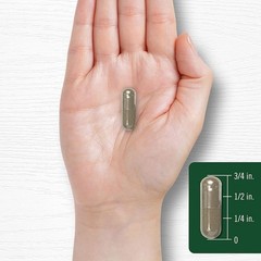 Extracto Hoja de Gordolobo 1500mg 200 Cápsulas Verbascum thapsus 100 Porciones