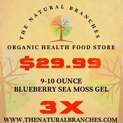 3 Pack 9-10oz Blueberry Sea Moss Gel TNB