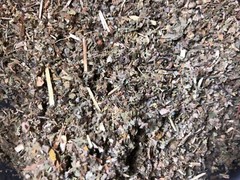 No.19 Herb Blend Damiana Marshmallow Mullein Passionflower Wild Lettuce