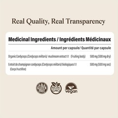 Organic Cordyceps Mushroom Extract Capsules – 300 Count – Energy & Stamina Suppo