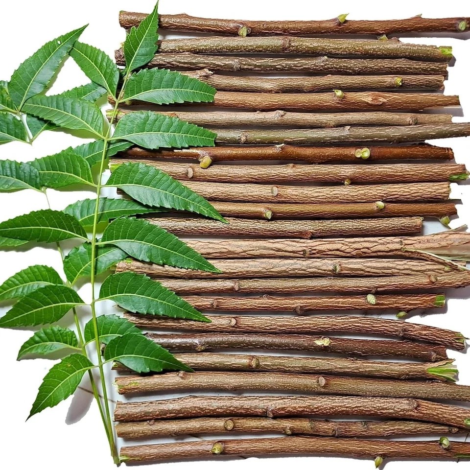 100% Natural Neem Teeth Cleaner Toothbrush Organic Chewing Stick Datun 10 Pieces