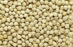 Moringa Oleifera Seeds Kernel SHELLED Fresh Organic Semilla De Moringa Bulk