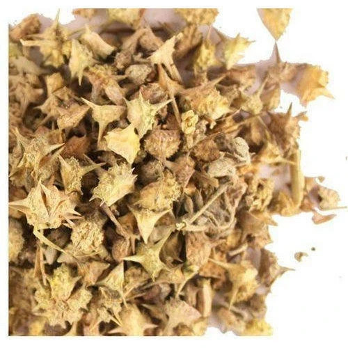 Gokhru ,Pedalium Mures, Land Caltrops, Gorkhu – Gokshura 50gm / 1.76 oz