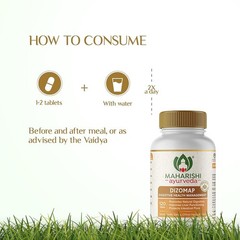 Maharishi Ayurveda Dizomap for Healthy Digestion 120 Tabs FREE SHIP