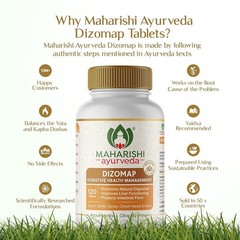 Maharishi Ayurveda Dizomap for Healthy Digestion 120 Tabs FREE SHIP