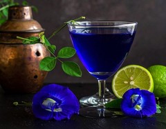 Butterfly Pea Flower Tea – Liquid Extract Tincture – Easy Drops – Cool Blue – US