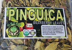 pinguica hojas, pointleaf manzanita,arctostaphylos, Bearberry leaves, uva ursi !