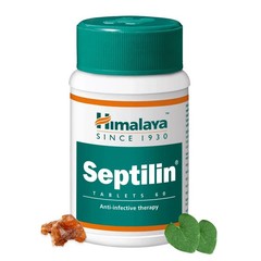 Himalaya Septilin Tablets 60 Tabs Herbal Wellness Support Pack of 15 Free Ship