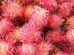 5 Seeds Rambutan Nephelium Lappaceum Sweet Juicy Tropical Malaysia Edible Fruits