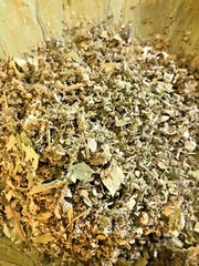No.36 Mix Lotus Leaf Catnip Mullein Passionflower Poppy Jujube Cinquefoil – 1 oz