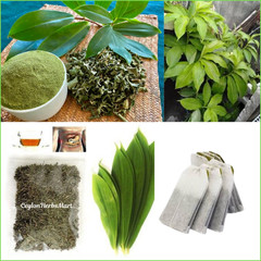 Insulin Plant Leaf Tea Costus Igneus Fiery Diabetic Blood Sugar Support Tea