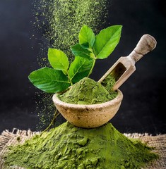 Bhringraj powder Eclipta prostrata Karisalaankanni false daisy