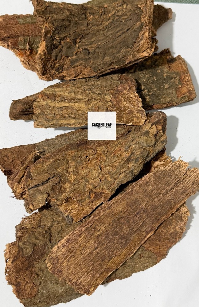 Organic Mango Tree Bark Chips, Mangifera Indica for herbal fever tea infusion