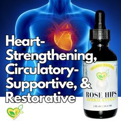Rose Hips Non-Alcohol Extract Tincture Organic Liquid Herbal Drops 2oz Body Skin