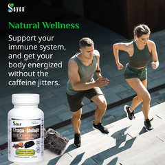 Chaga Mushroom & Shilajit Supplement 90 Caps Siberian Natural Immune Support