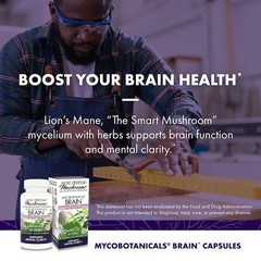 Host Defense MycoBotanicals Brain 60 Veg Capsules Fungi Perfecti