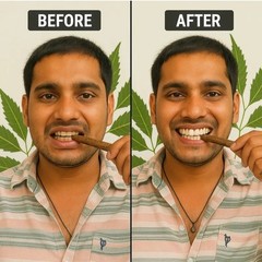 MIMPER Natural 100% Pure Neem Datun Sticks Oral CareToothbrush Pack Of 10+2Free