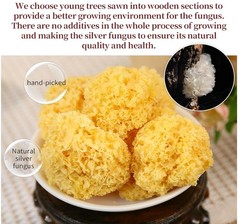 Organic Wood White Ear Mushroom TREMELLA Gluten Free Natural Cough Remedy銀耳