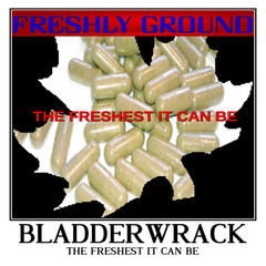 BLADDERWRACK Fucus vesiculosu Sea 595mg Iodine Vegetable Capsule 100 CT