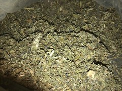No.21 Mix – Damiana Raspberry Lavender Passionflower Mullein Horehound – 4 oz’s