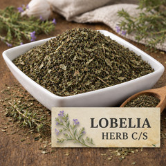Premium Lobelia Herb C/S | Cut & Sifted | Premium Quality | Herbal Tea Wellness