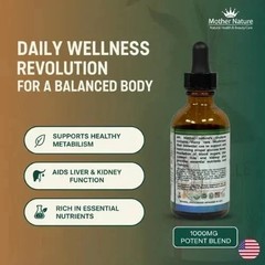 Organic Blood Sugar Support Tincture Mushrooms & Herb Liquid Drop Glucose Health
