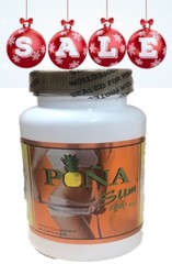 PINA sLIM CAPSULES 60 100% Original Pineapple bromelain Pina slim GNVida